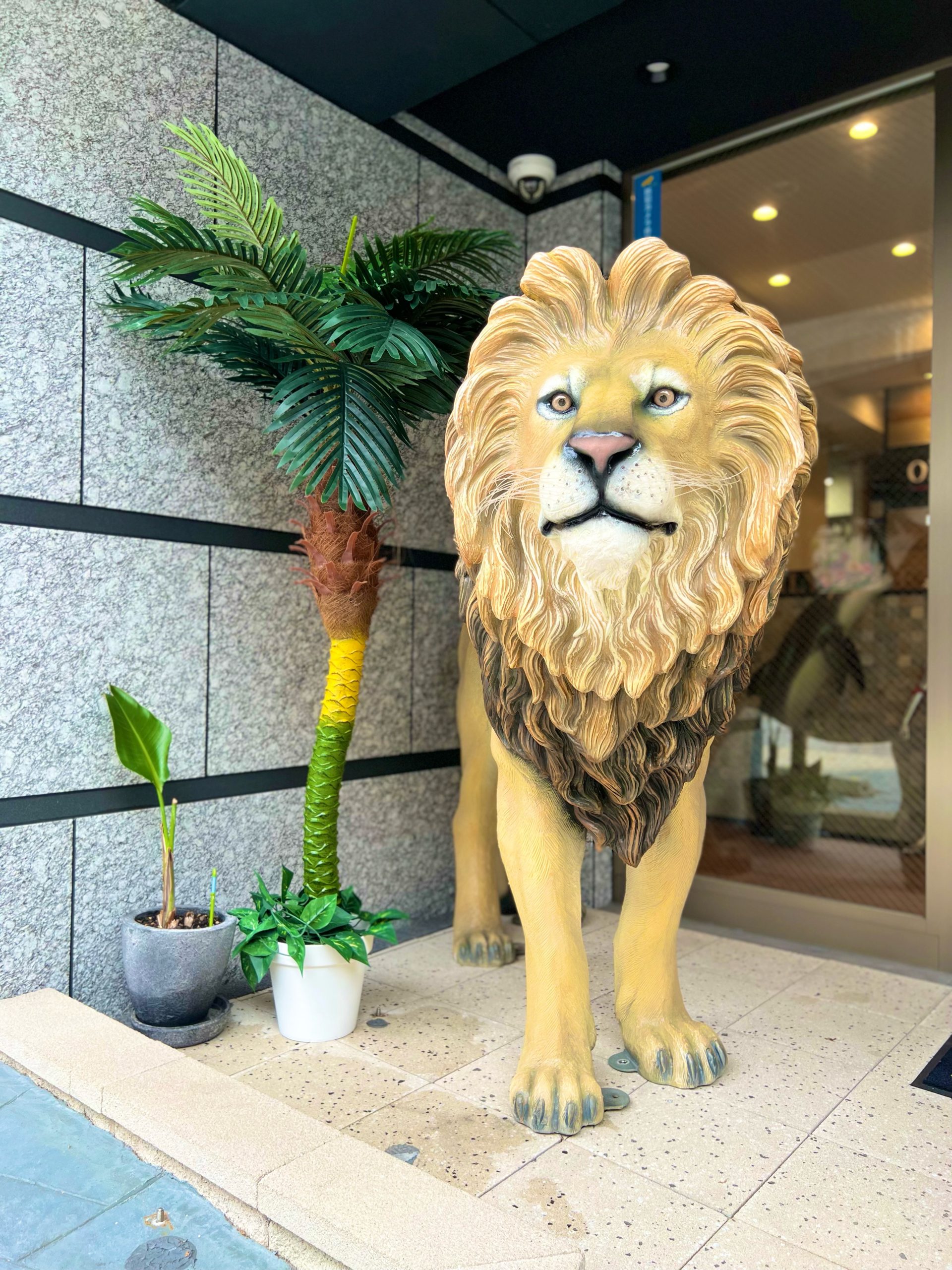 image0-1-scaled.jpeg image0-1-scaled.jpeg