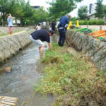 大そうじ選手権に参加してきました✨