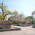 【📹動画公開中✨】プレシャス 宝塚・安倉南