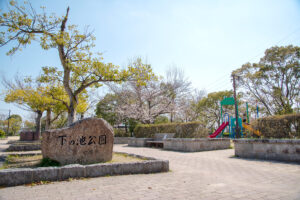 【📹動画公開中✨】プレシャス 宝塚・安倉南