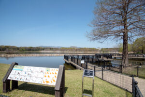 ✨新物件✨伊丹・奥畑