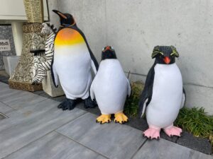 仲間が増えました🐧🐧🐧【ONLY ONE ZOO】