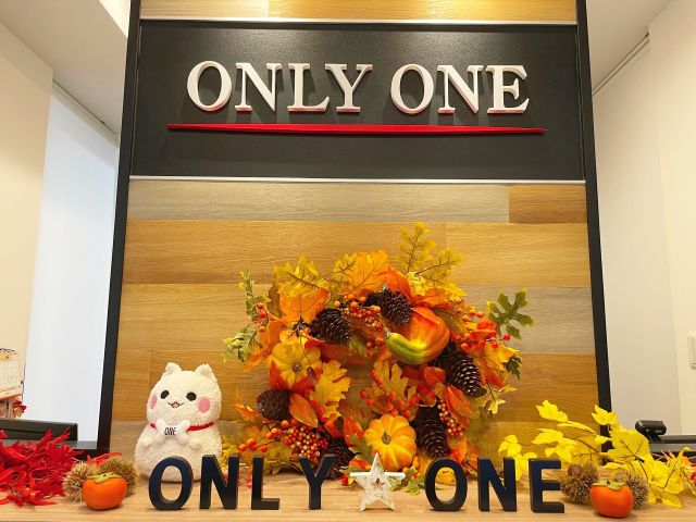 こんにちは🎶

11月に入り、ONLY ONEの店内も秋の装飾になりました🍂🍁

色鮮やかな紅葉の装飾で
秋の気配を感じてもらえると嬉しいです(^^♪

｡*⑅୨୧┈┈┈┈┈┈┈┈┈୨୧⑅*｡

ONLY ONEでは、季節ごとに
店内の装飾をしています★
ご来店の際はぜひお楽しみください(*^_^*)

ONLY ONE ホームページ🐾
https://www.6262.co.jp

#川西市 #小戸 #ONLYONE #不動産 #新築一戸建て 
#秋 #紅葉 #ディスプレイ 
#autumn #halloween